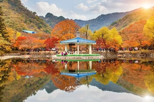 Công viên quốc gia Naejangsan có tổng cộng 919 loài thực vật và hơn 1.880 loài động vật. Ảnh: Colour Box.