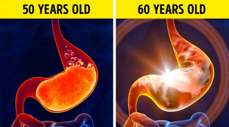 Tiến trình thay đổi trong cơ thể qua từng độ tuổi