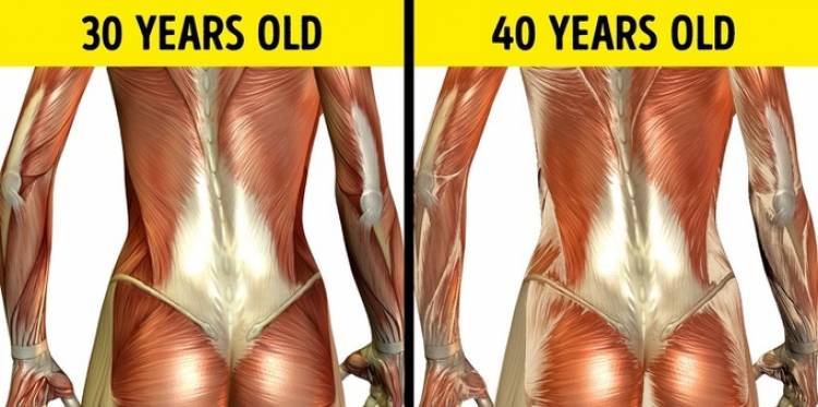Tiến trình thay đổi trong cơ thể qua từng độ tuổi